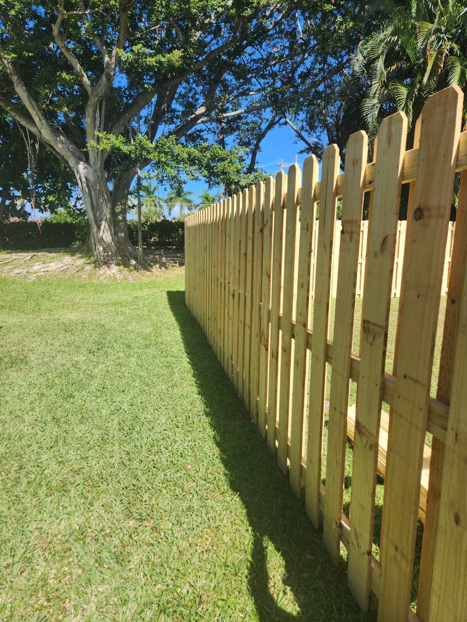 Wood Board on Board Fence F2-1